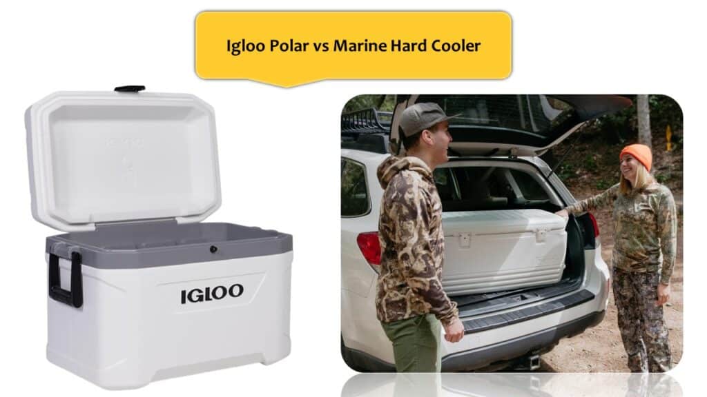 Igloo Polar vs Marine Hard Cooler